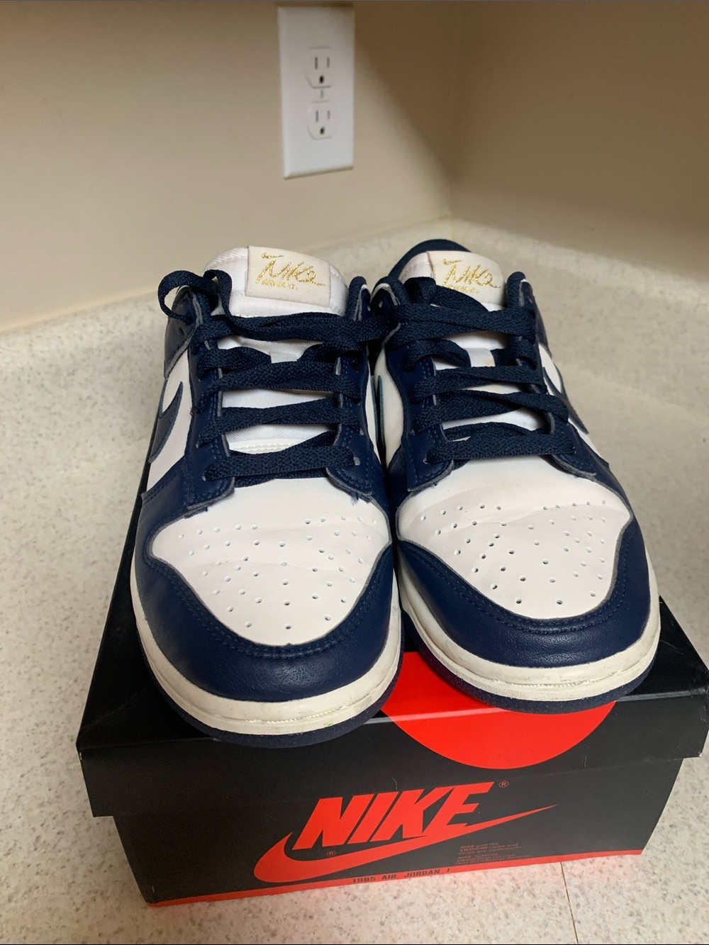 Nike Dunk Low White and Navy Blue Leather Sneakers